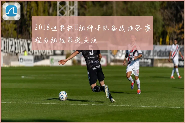 2018世界杯H组种子队备战抽签 赛程分组结果受关注