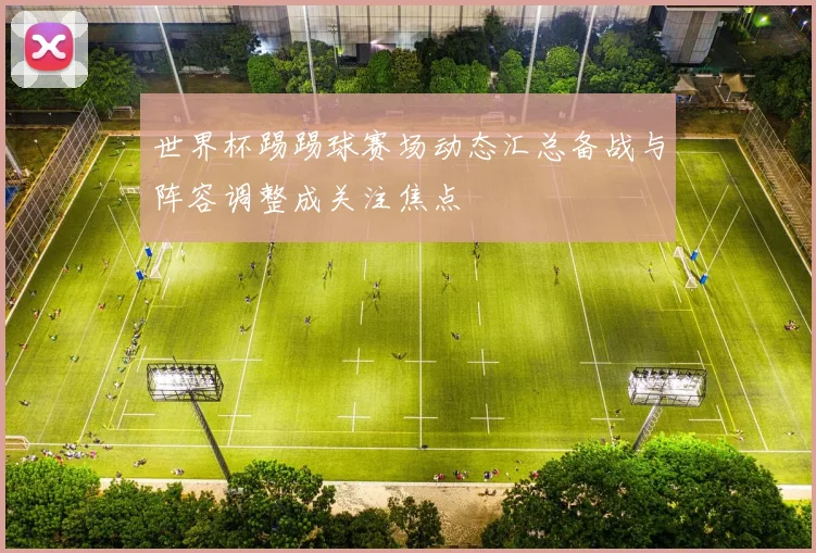 世界杯踢踢球赛场动态汇总备战与阵容调整成关注焦点