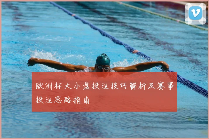 欧洲杯大小盘投注技巧解析及赛事投注思路指南