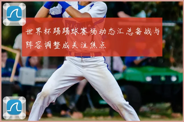 世界杯踢踢球赛场动态汇总备战与阵容调整成关注焦点